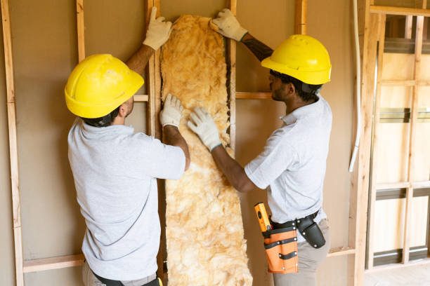 Insulation Inspection Services in Sturtevant, WI